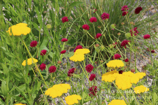 Sommer 2013 (Bild: 3/11)