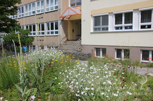 Pflanzung im Sommer 2013 (Bild: 4/11)