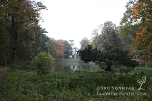 Wiederherstellung der Sichtachsen zum Schloss, Morawa (PL) 2010 (Bild: 9/9)