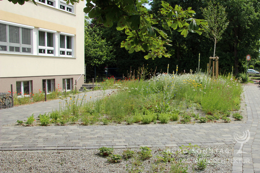 (Bild: 5/11)