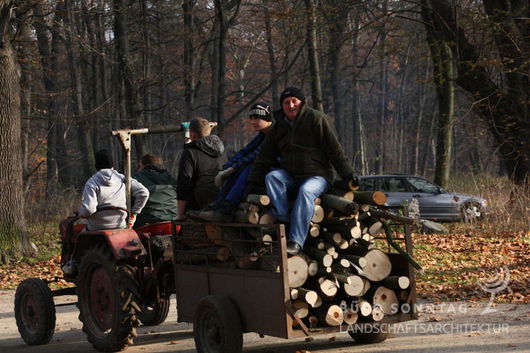 tatkräftige Unterstützung der Arbeiten durch den Bürgermeister der Gemeinde Striegau/ Strzegom (PL), Morawa 2012 (Bild: 7/9)